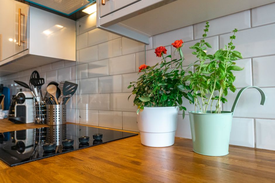 Compact hydroponisch systeem naast keukenraam.