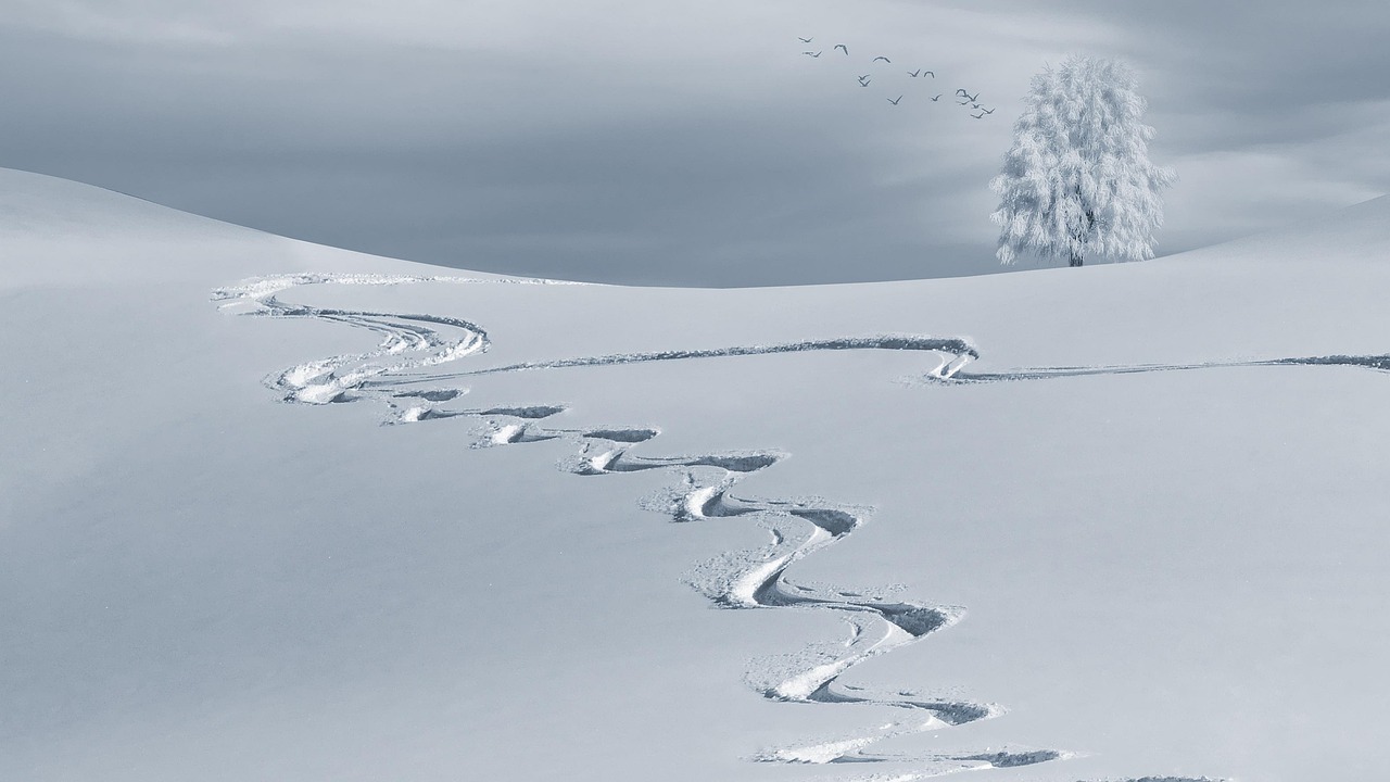Verduisterende gordijntjes voor privacy op wintertrip.
